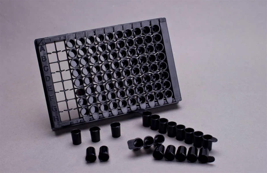 Elisa Plate16 Elisa Plate16